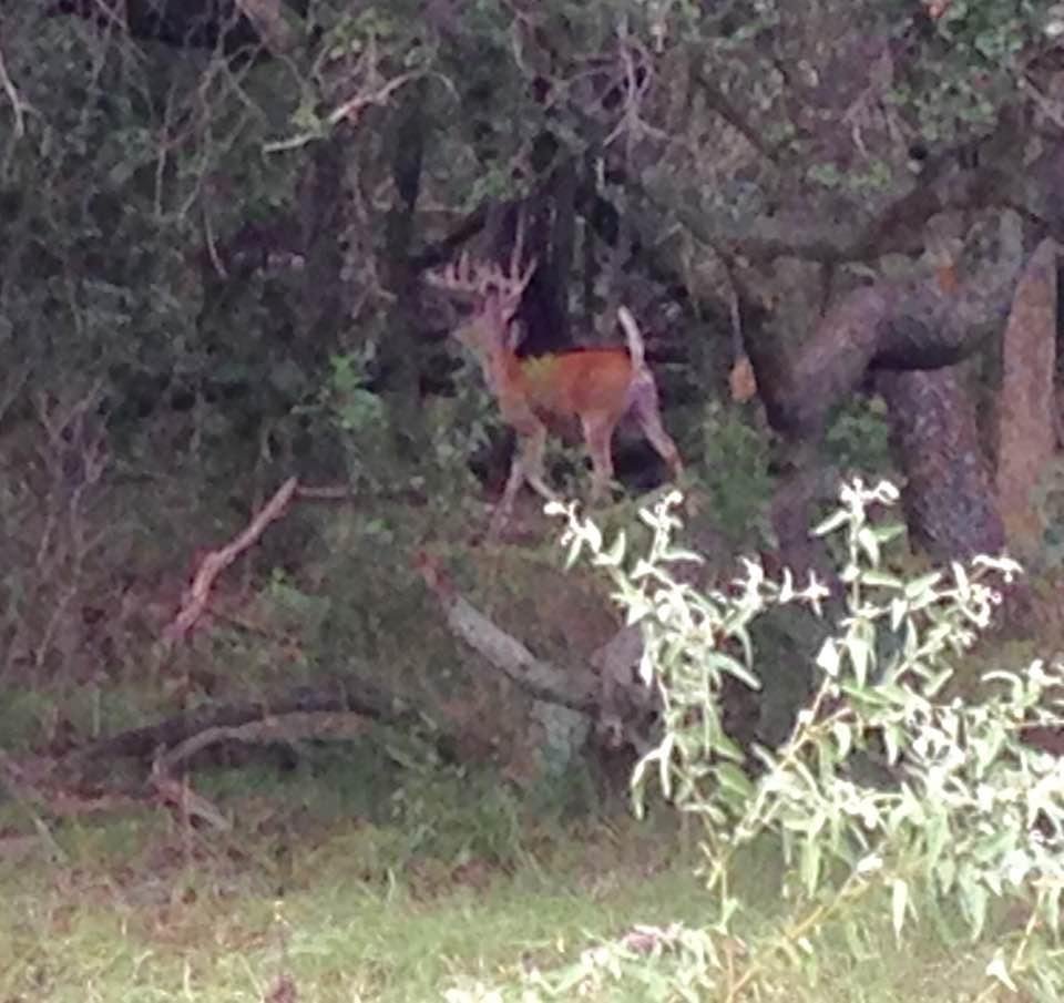 In spite of the hurricane and floods, Mother Nature continues.