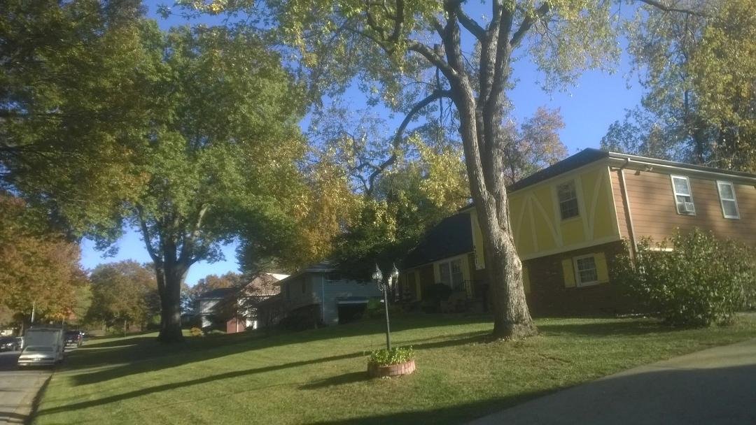 Front yard is done for today, backyard tomorrow, then back to the front yard. I lose several battles, but I will eventually win the war.