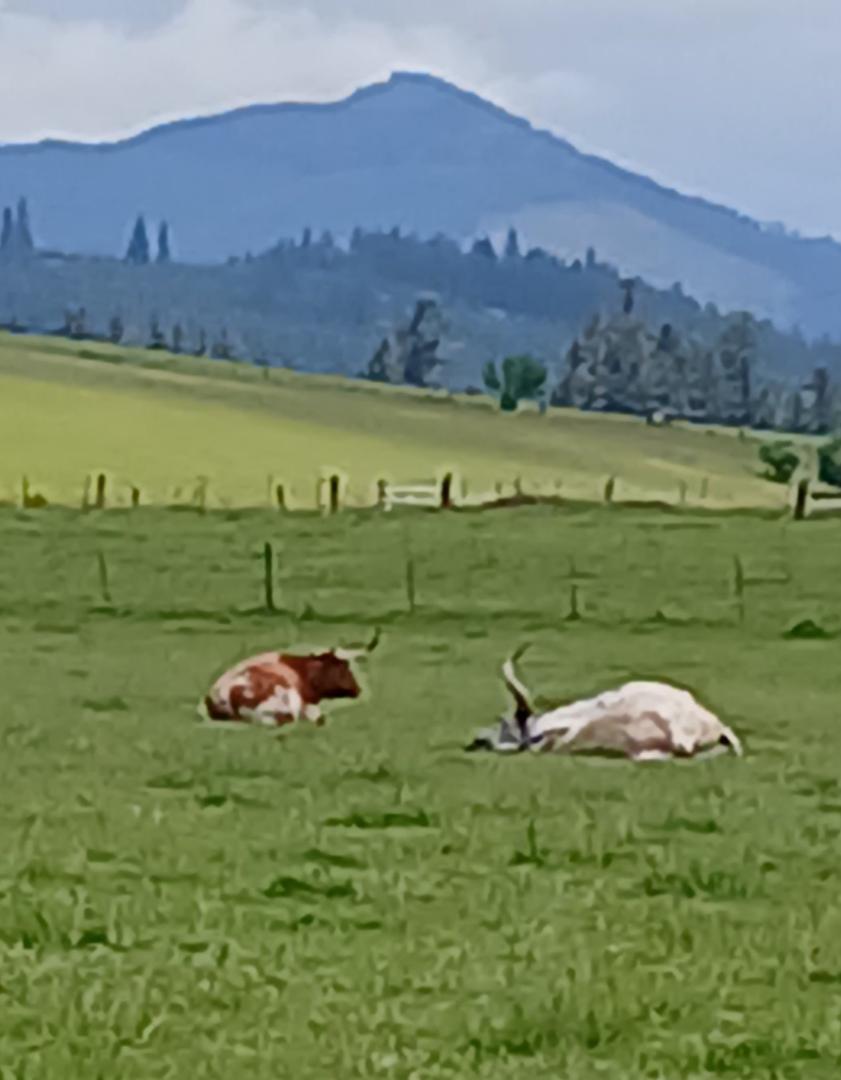 Oregon country side