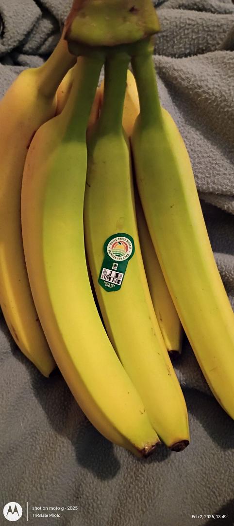 Thank you to the lovely lady from Whole Foods Market who delivered 3 frozen pizzas (I microwaved and ate one already) and two are in the freezer. The bananas are exactly the way I like them (I ate one already). Got a loaf o
