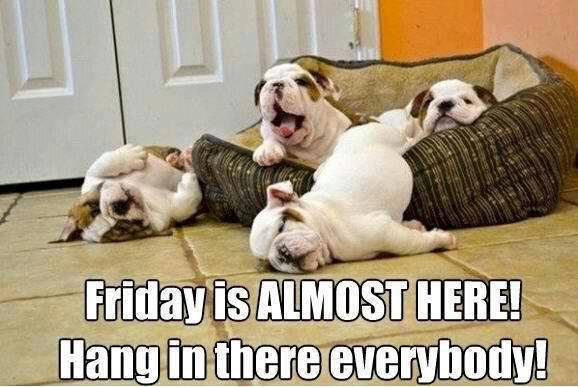Patchie Poochie's album, Timeline Photos