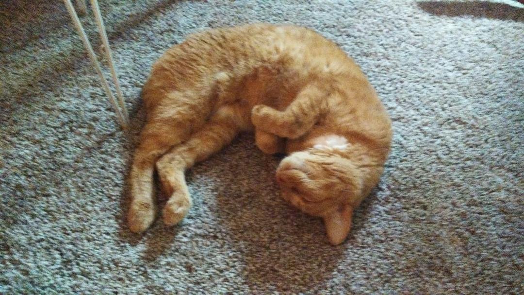 he is just sleeping away