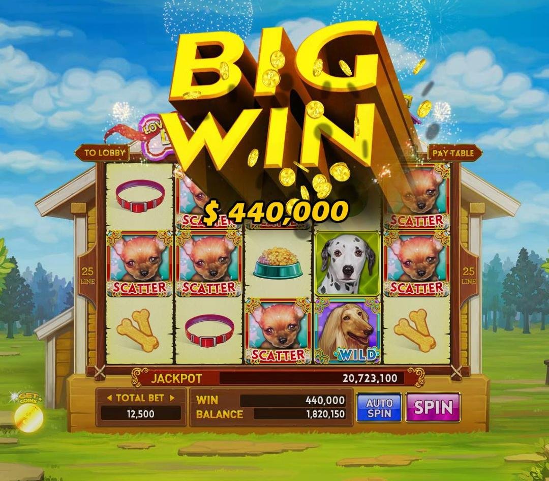 stan larson's album, Real Casino - Free Slots & Poker Photos