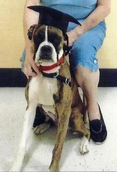Ginger and Robert Patterson's album, Timeline photos