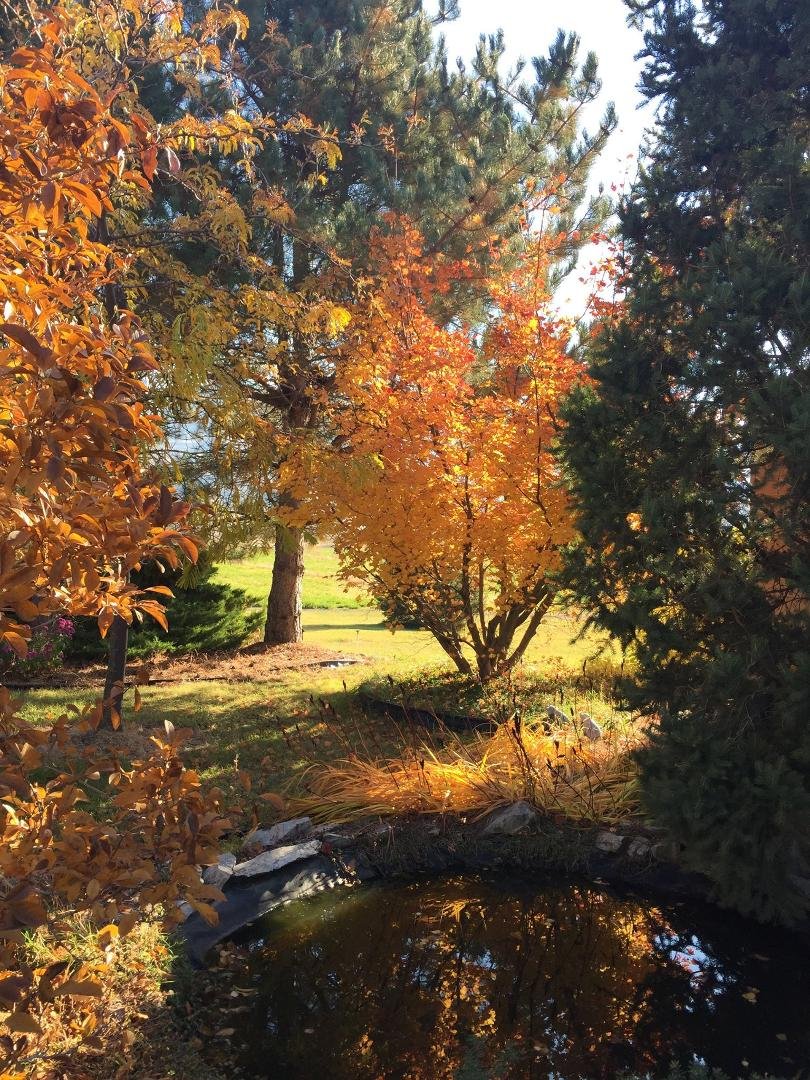Janet Hanke's album, Timeline Photos