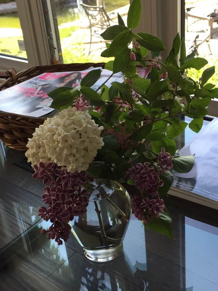 The lilacs, honeysuckle and fragrant laburnum have all decided to flower. The fragrance is intoxicating.