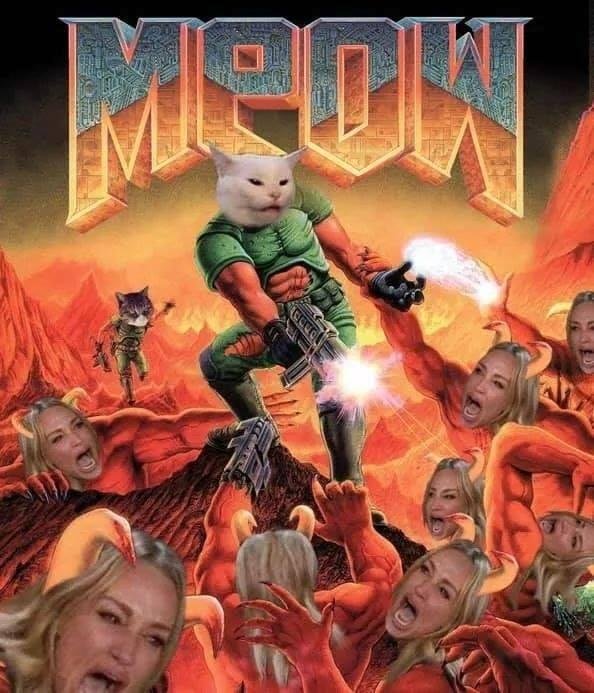 Get her kitty!!! For a all expense paid vacation to the Gilligan Islands where did this meme come from??