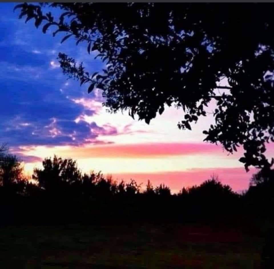 Borrowed from a Patriot....🇺🇸🇺🇸🇺🇸🇺🇸