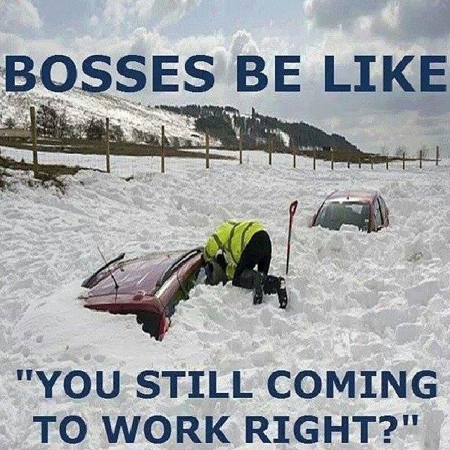Lenora Grosse's album, Timeline Photos