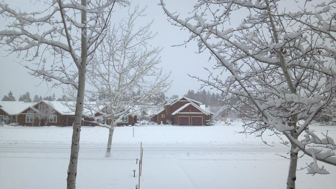 Our first snow fall!