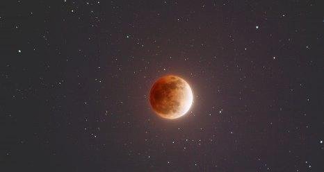 Better picture, of BLOOD MOON,