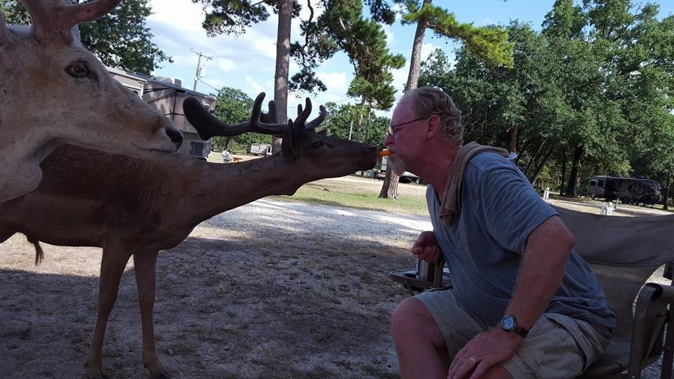 Pat sharing cheetos with the deer.