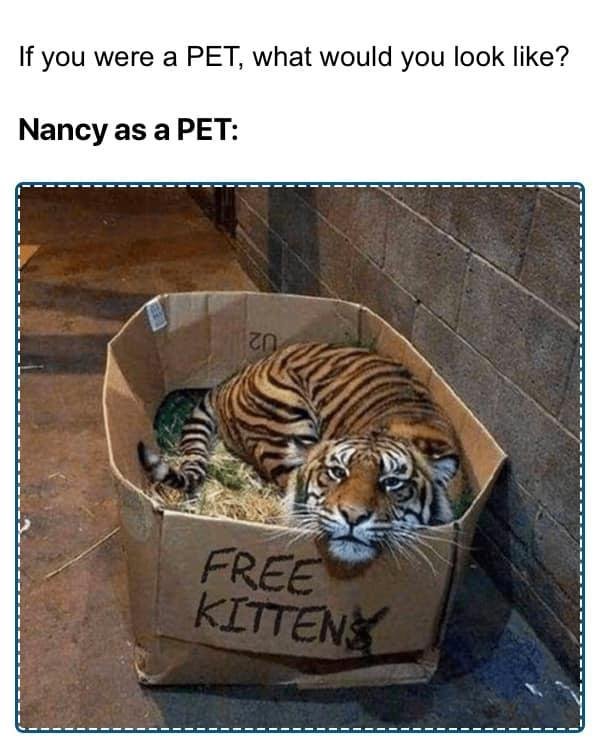 Nancy Kincl's album, Timeline photos