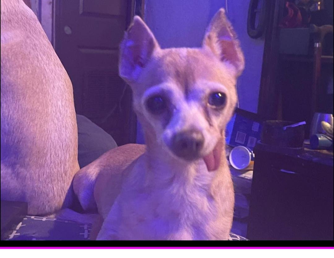 #GoldiesAct