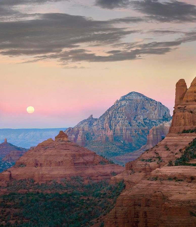 Debra Davis' album, AZ Seasonal Pictures
