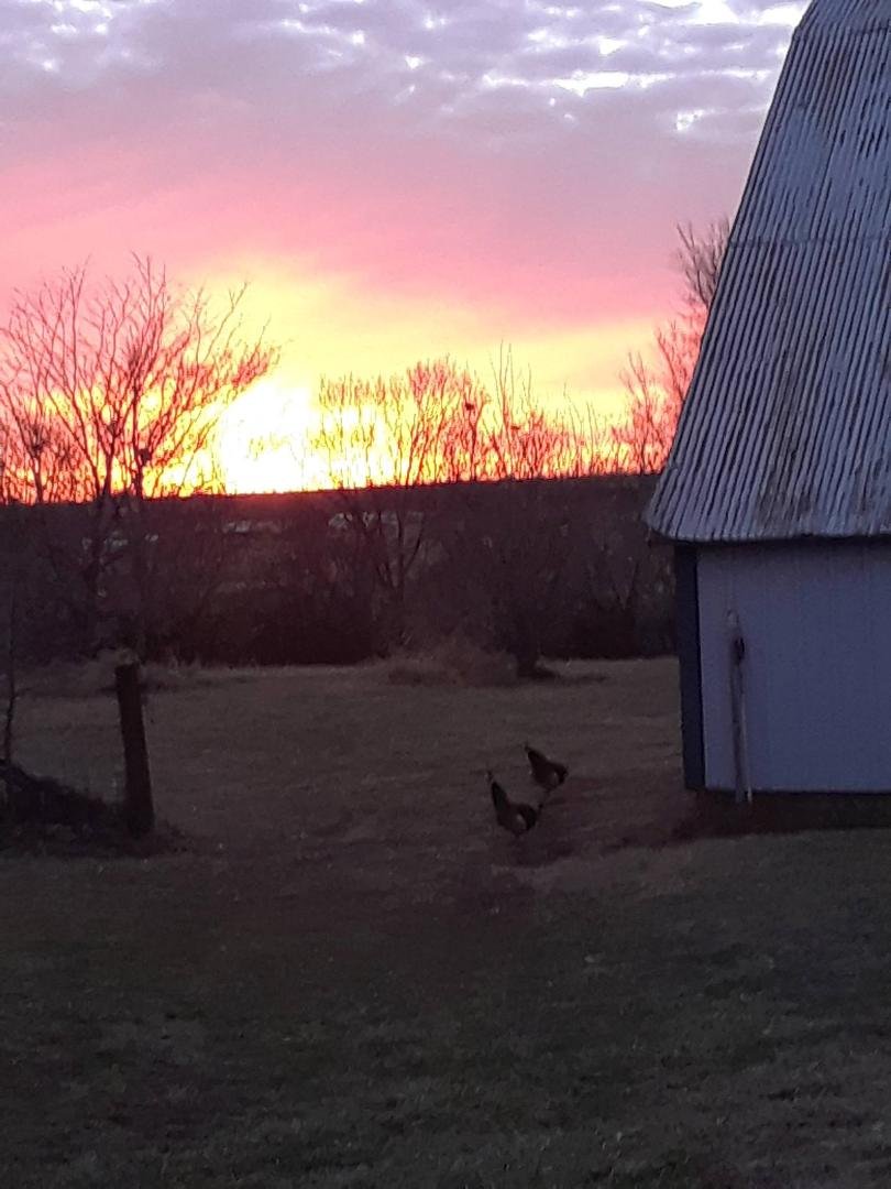 Sunset Kansas tonite Peaceful,,,