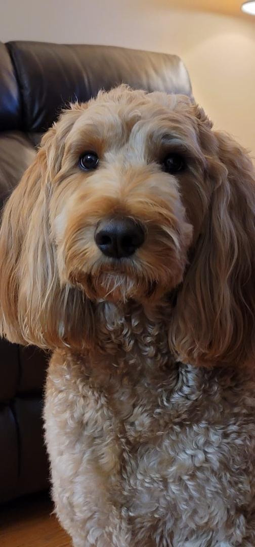 Toby!