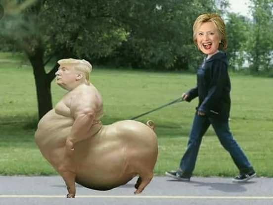 Strolling along on the White House lawn
