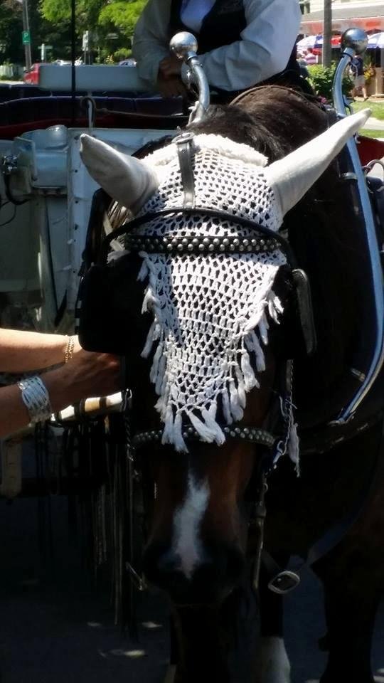 What do you think of this fancy headgear for the horse...hand crocheted?
