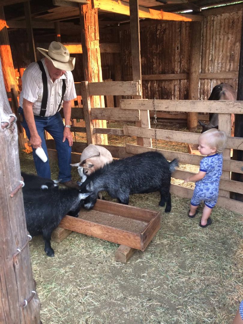 Helping grandpa feed at the farm!