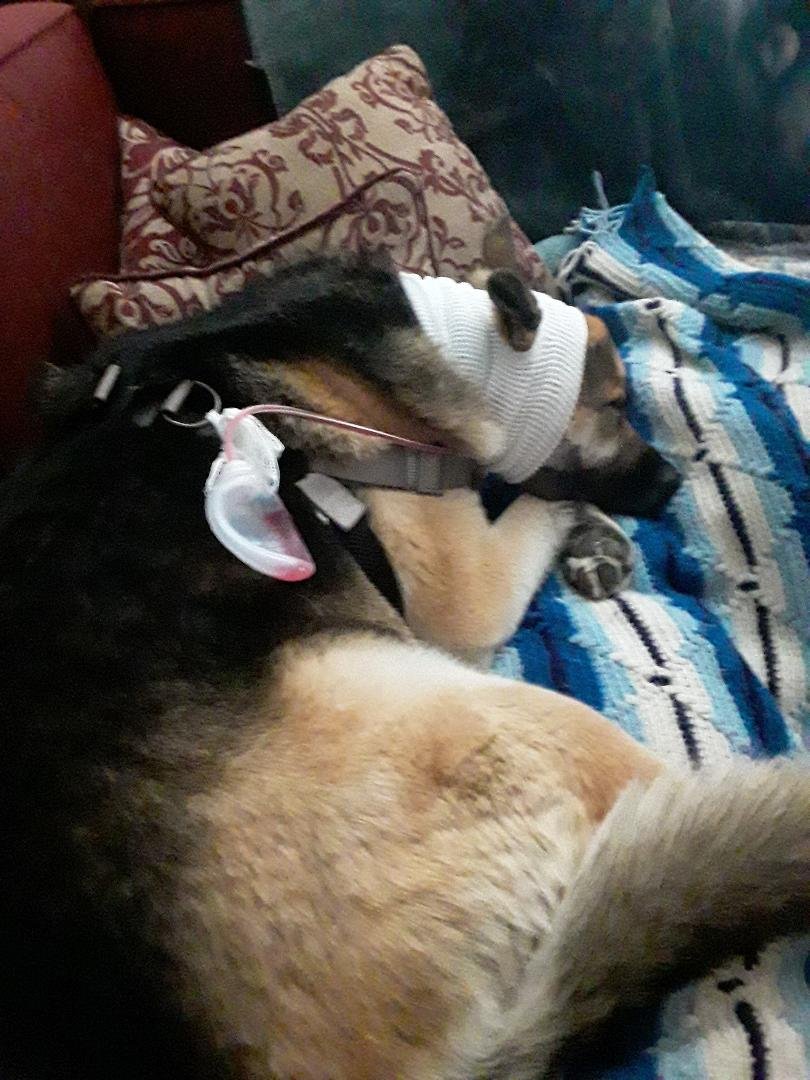 She's home resting comfortably round 2. another 2 weeks of 24/7 care