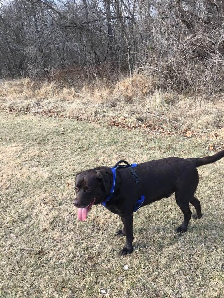 Roscoe