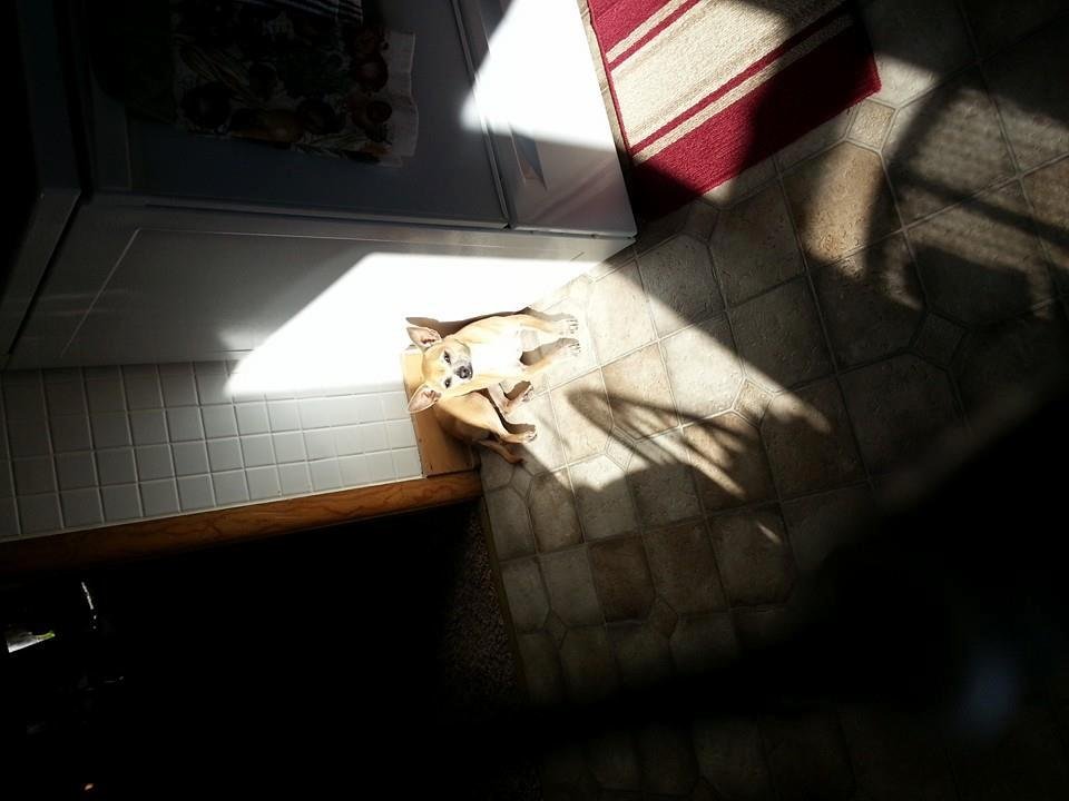 Just sitting in the sun