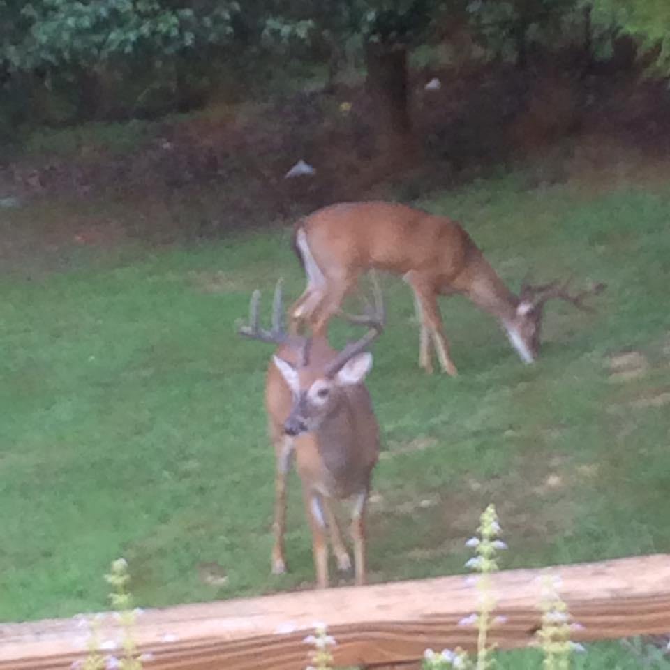 The Bucks are in tonight.