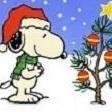 Nancy Graf's album, Timeline Photos