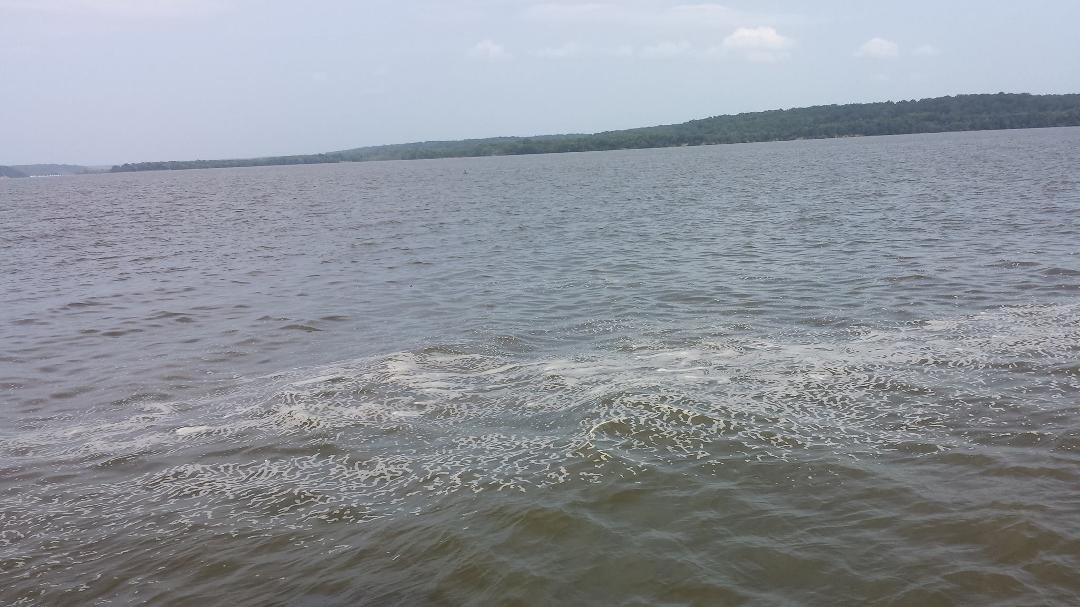 The Potomac is an absolutely amazing river. Stay in Alexandria, Hampton Inn, and take boat cruise to Mt. Vernon. There is a new George Washington Museum on the grounds, which opened in 2006. An amazing exhibit. The Hampto