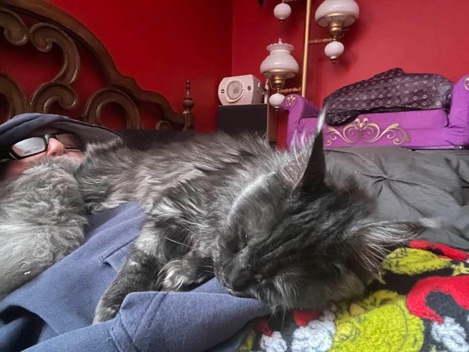 She is definitely getting heavier! I guess it’s nap time so I’m just gonna have to take one too.