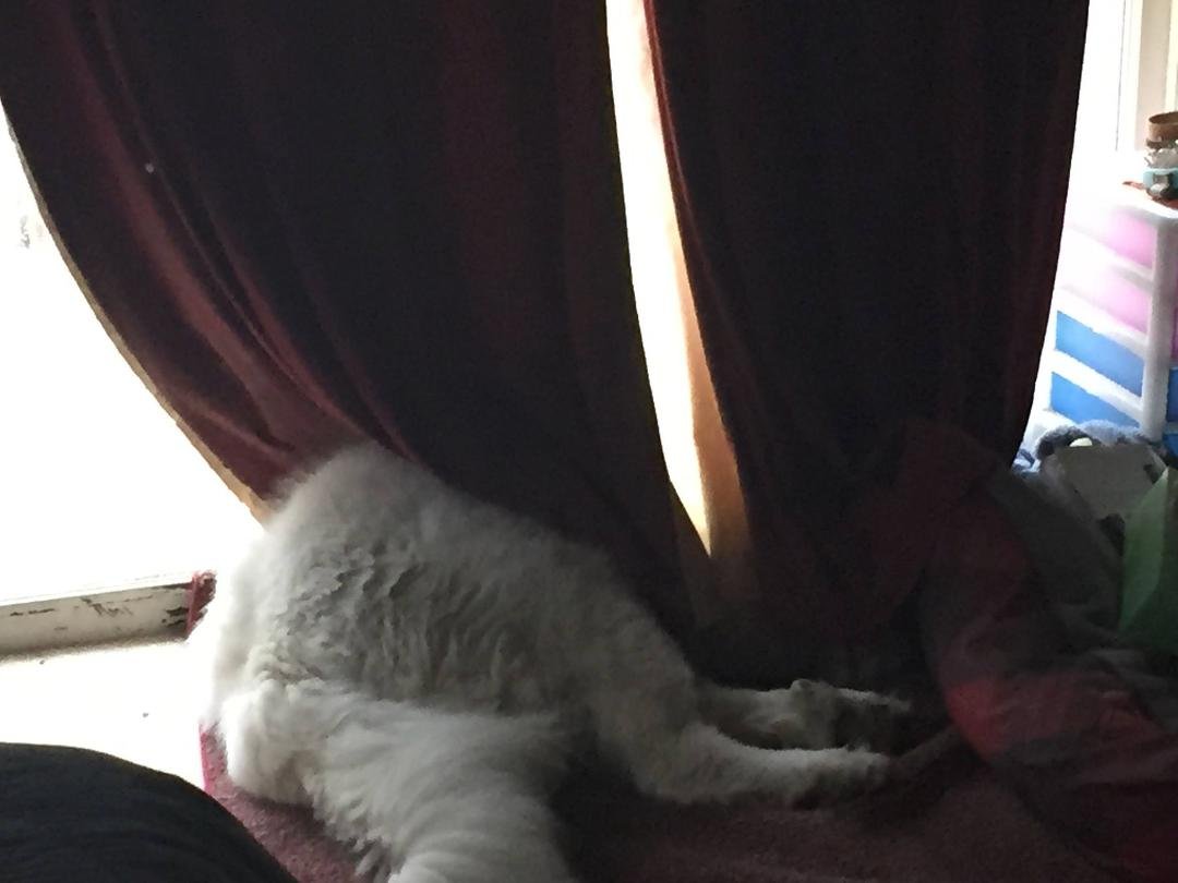 If I can't see you, you can't see me!