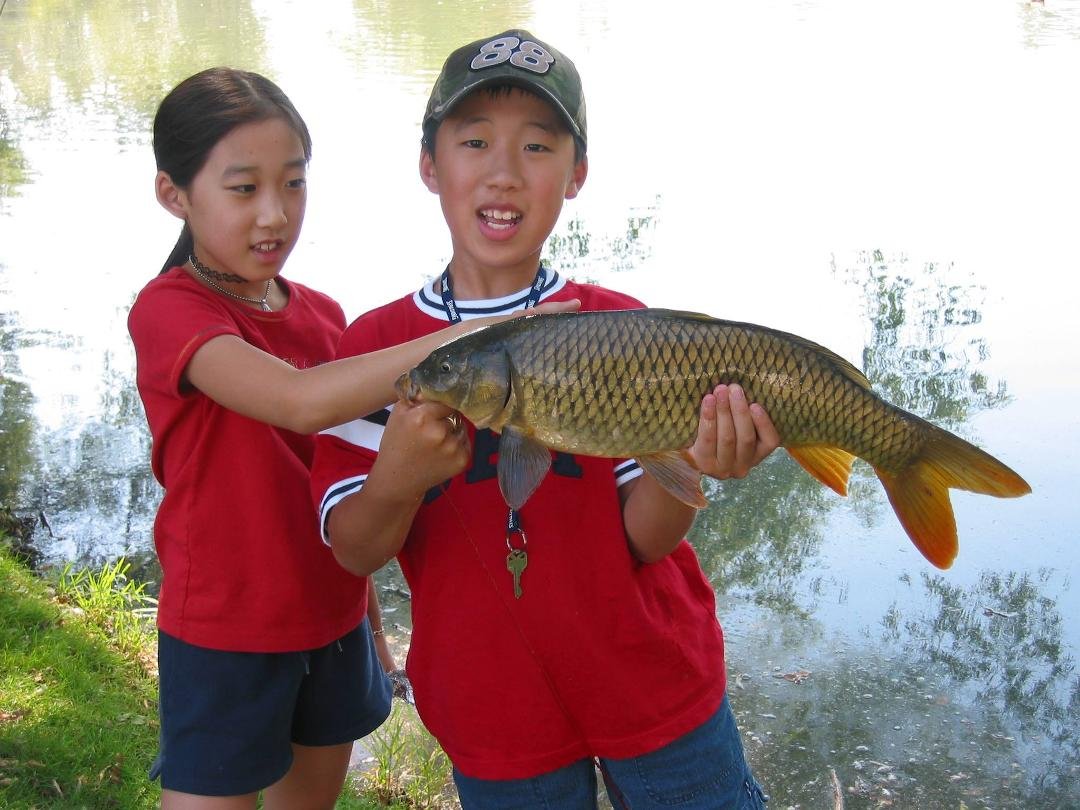 Catch and release!