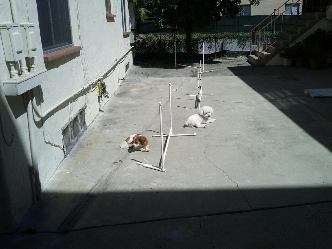Sunbathing in LA