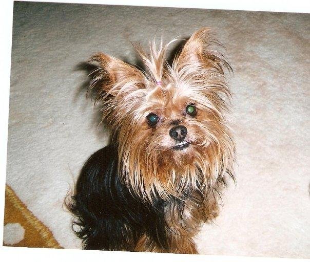 Emilie