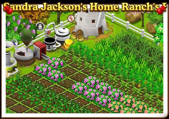Sandra Jackson's album, Family Farm Photos