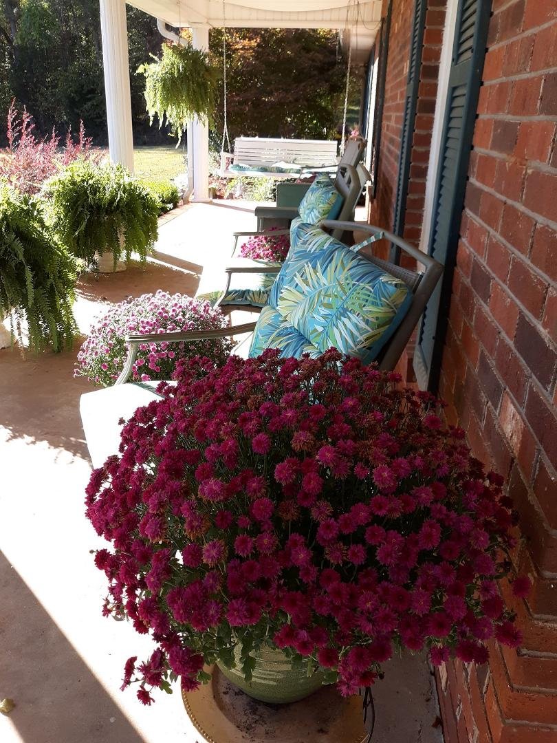 David Clark's album, Timeline Photos