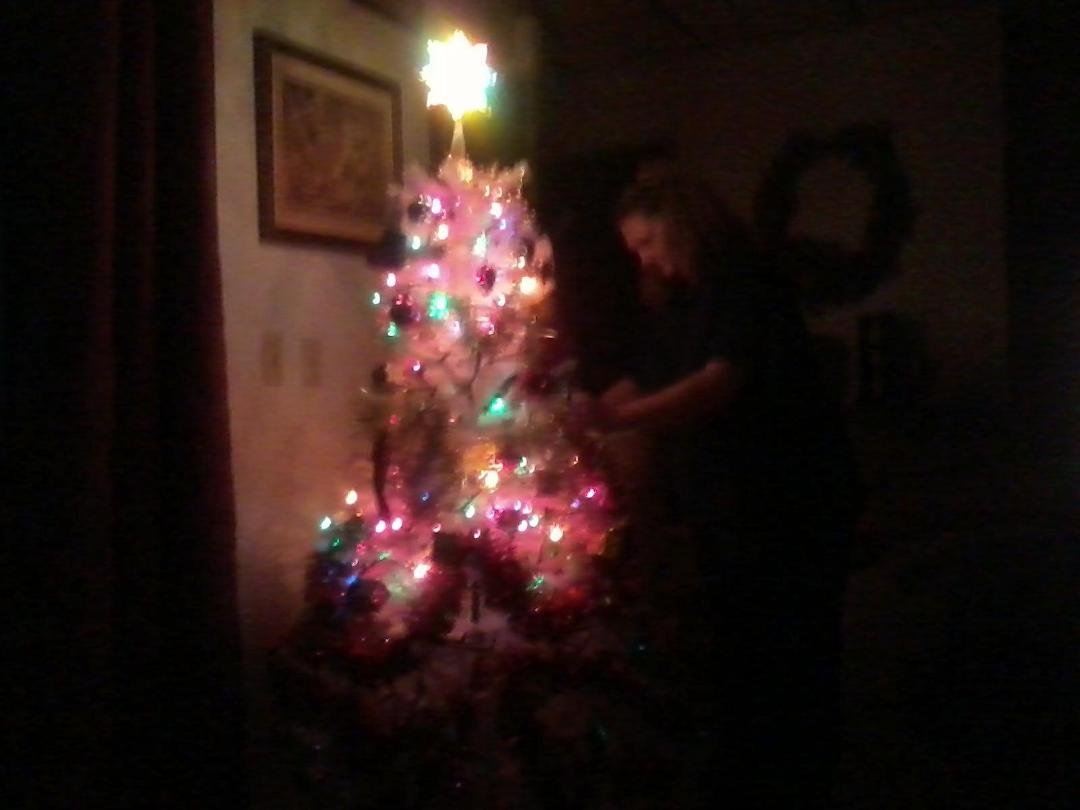 Our christmas is up
