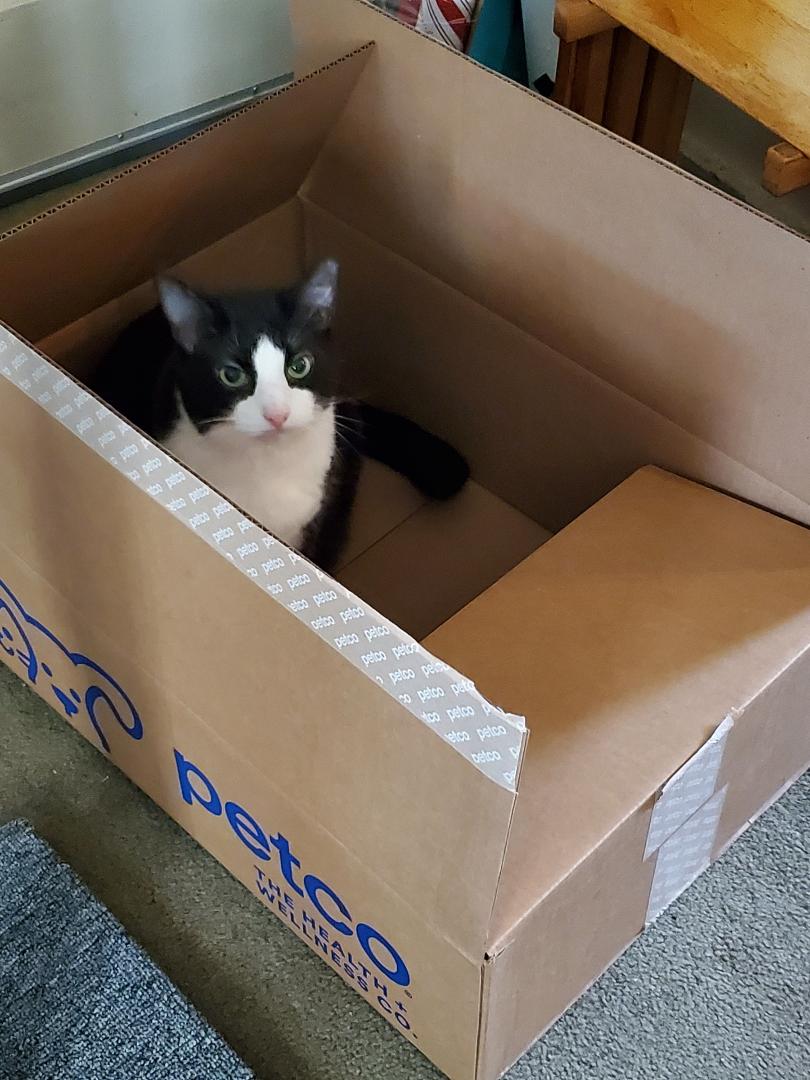 She just loves deliveries! LOL!