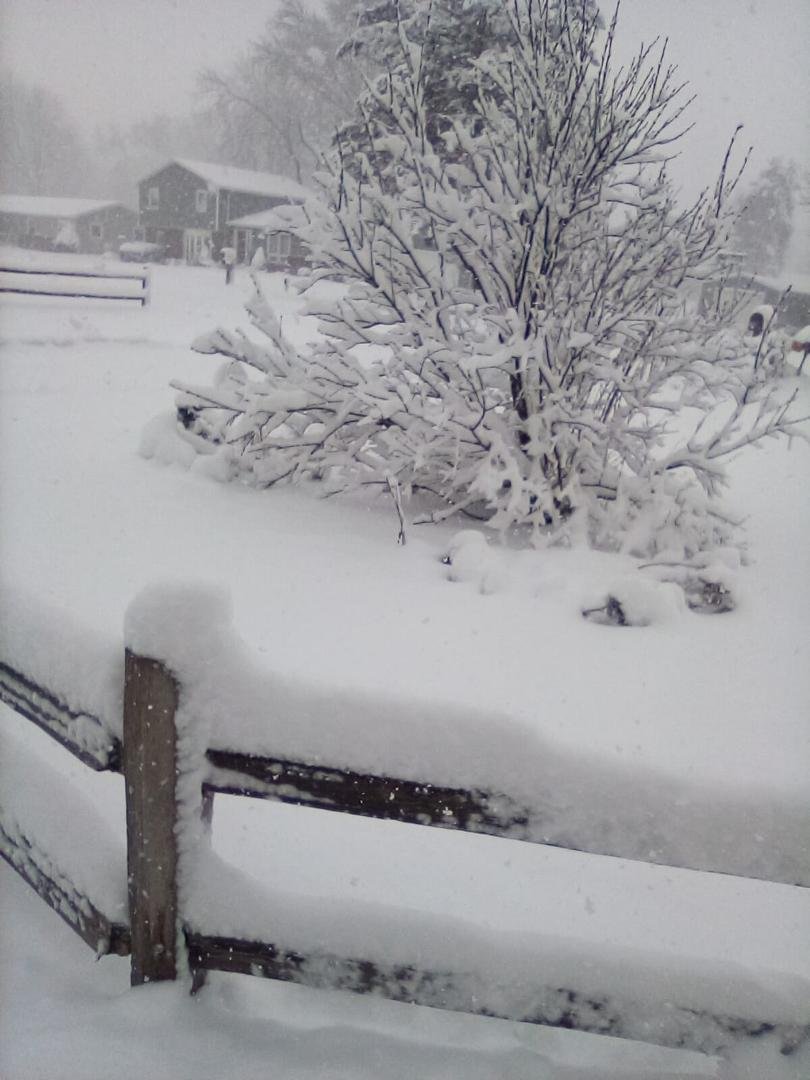 Larry McGuire's album, Timeline photos