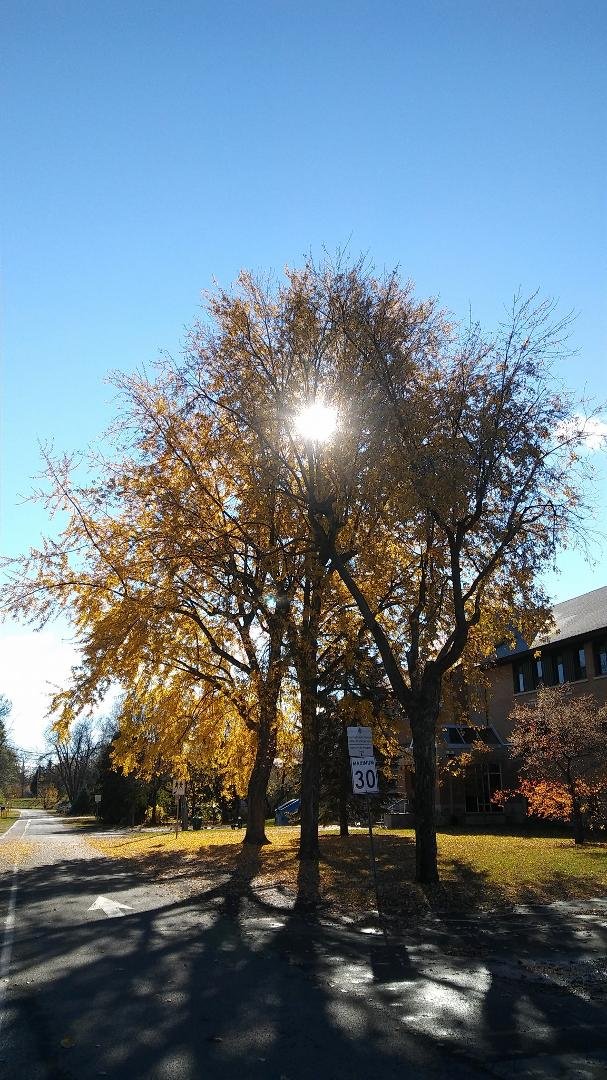 Beautiful Fall day...😎
