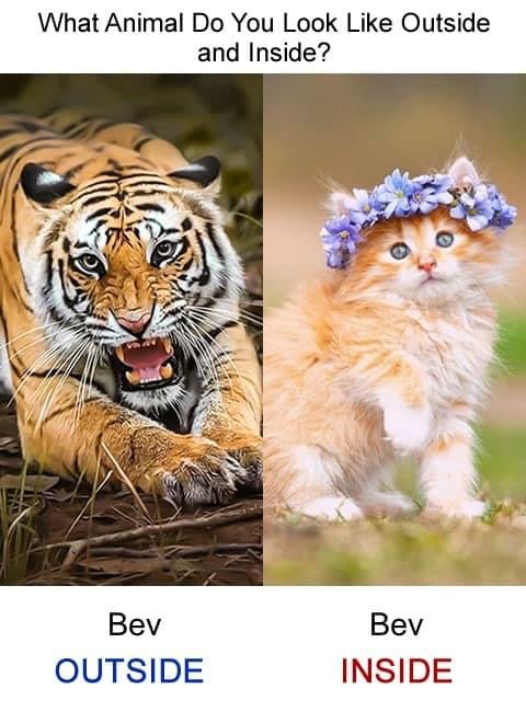 Beverly Barnes' album, Timeline Photos