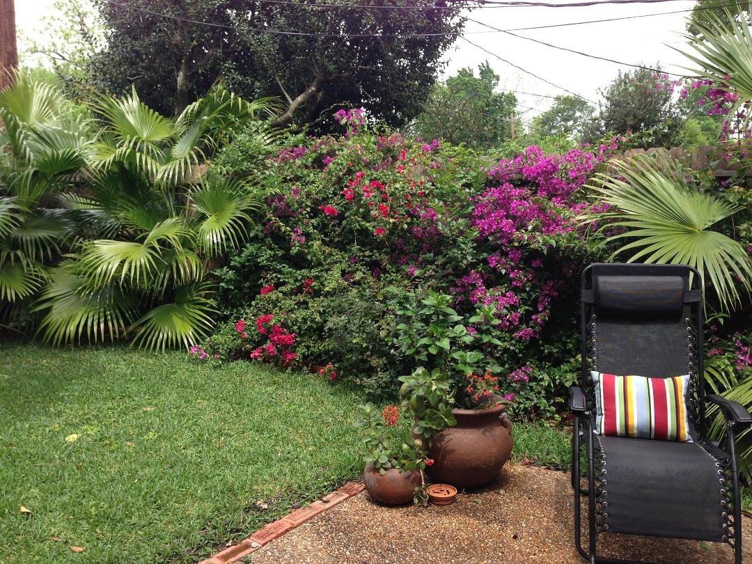 I'm going to miss that bougainvillea...hope it grows back.