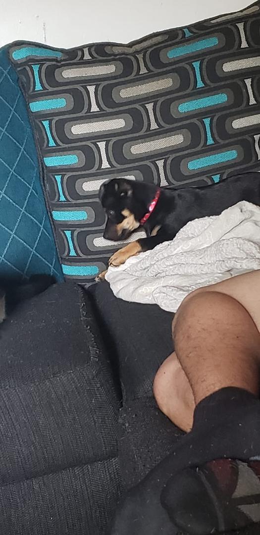 New addition to the family.