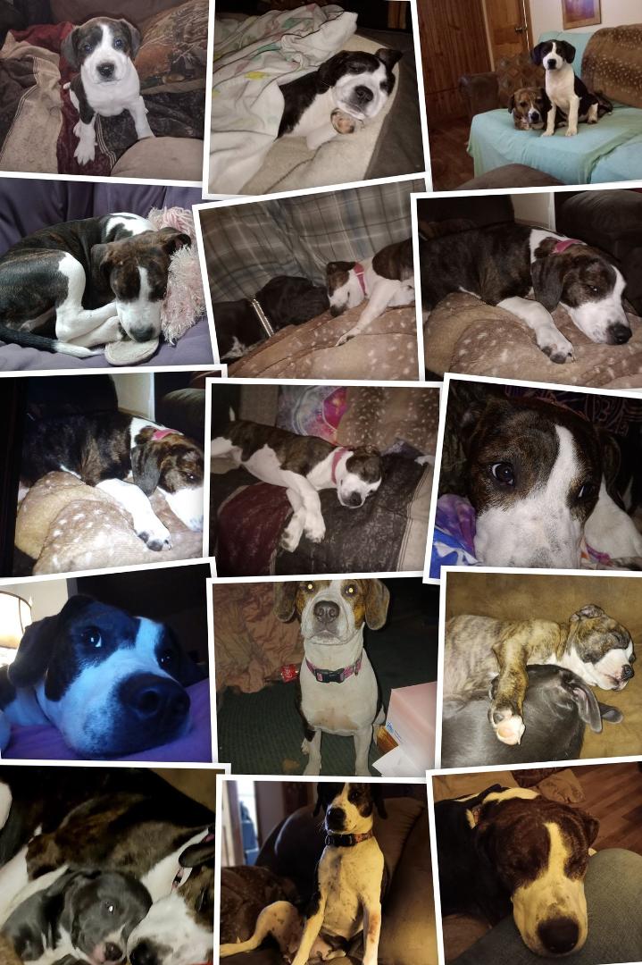 Maggie May my baby girl