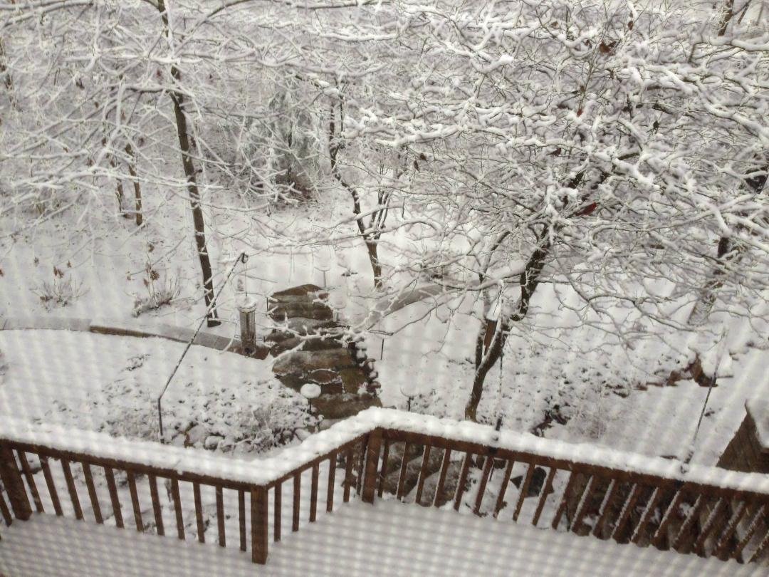 Good morning, backyard! Three more inches on it's way!