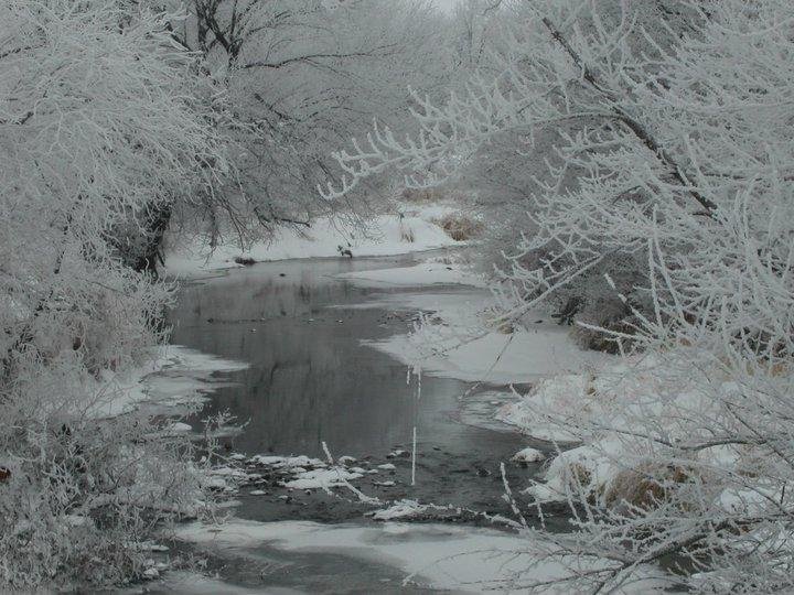 Sammy Wright's album, January 22, 2011