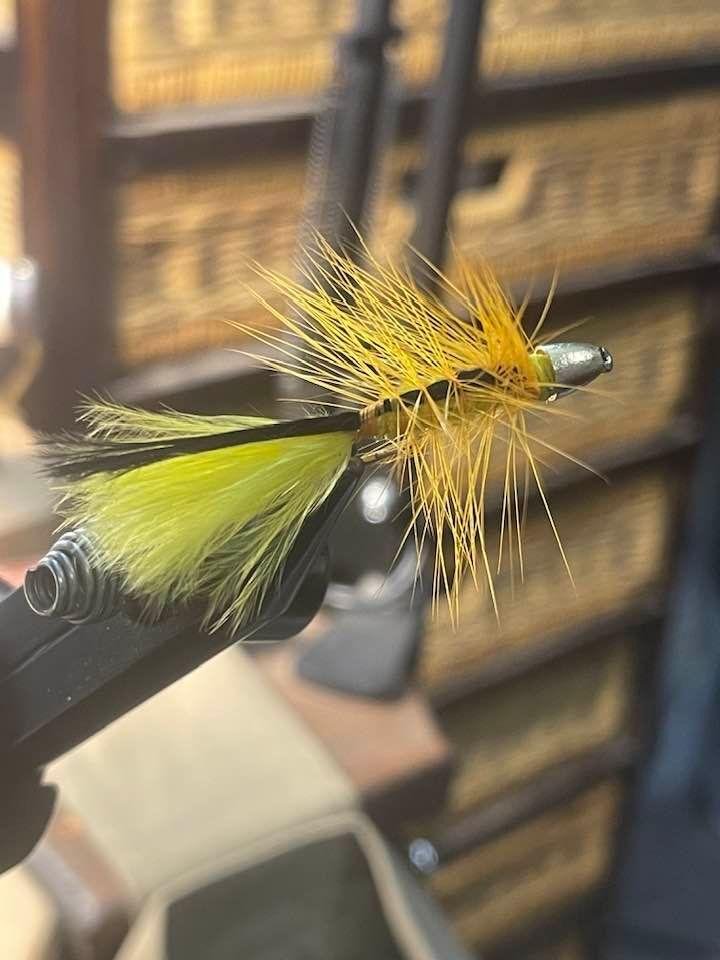 2024 “ONE” of A KIND - No Name liked the colors. I found 1 Gold Hackle, Yellow Marabou and Chenille. MAYBE “The MISFIT BEE”?