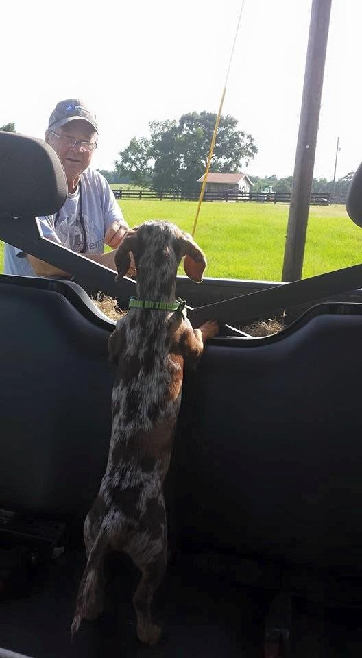 Duke is overseeing the job!