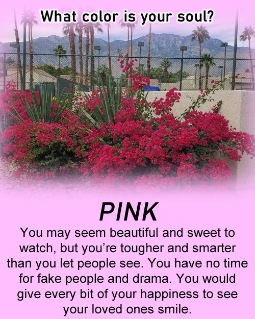 Gary Kulak's album, Timeline photos